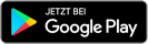 Google Play Store Icon
